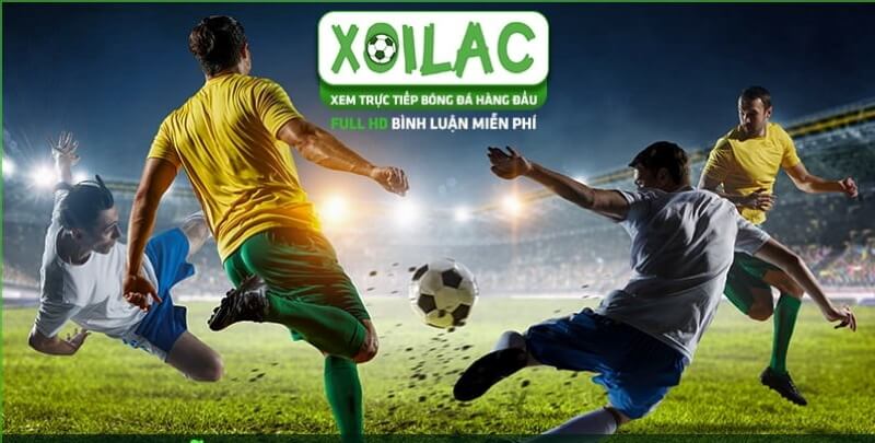 Website live bóng đá được yêu thích nhất - Xoilac
