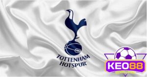 Tottenham Hotspur Danh hiệu đạt được trong nước