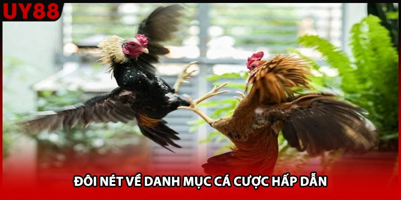 Đôi nét về danh mục cá cược hấp dẫn